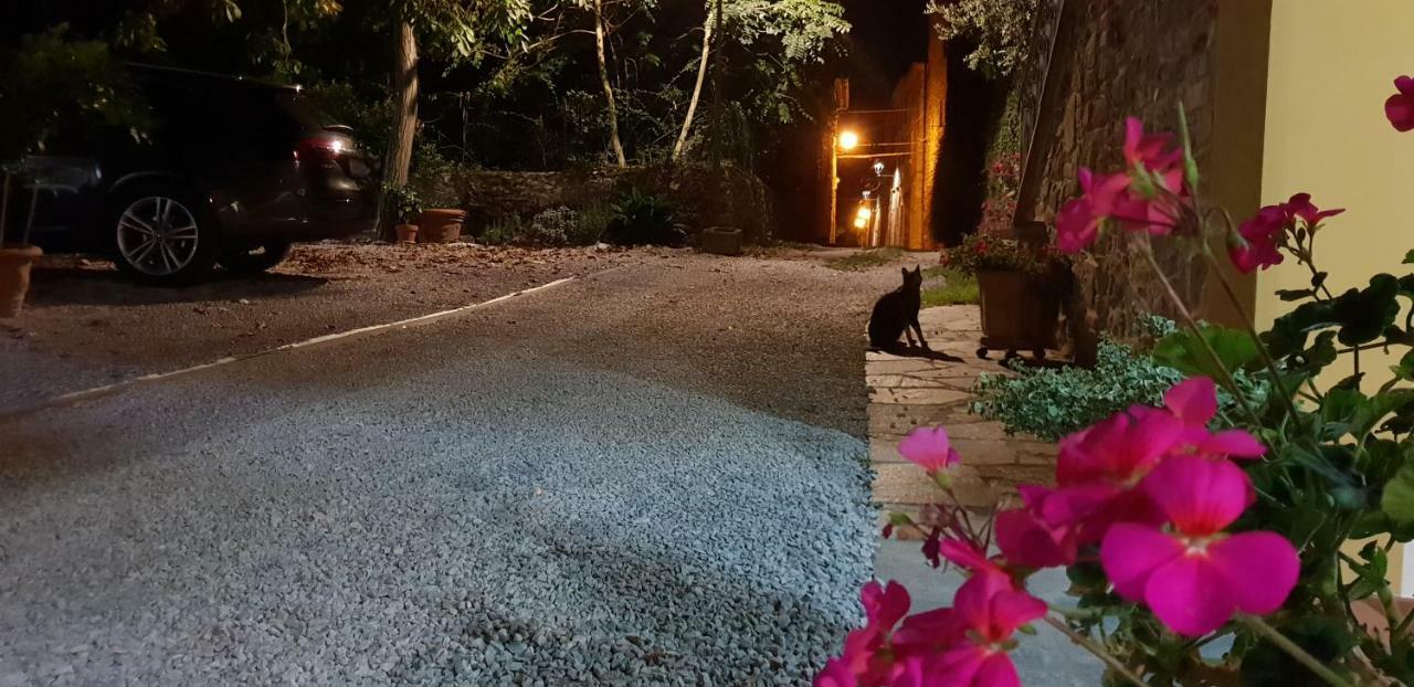 리고마그노 Mansarda Degli Ulivi 아파트 외부 사진